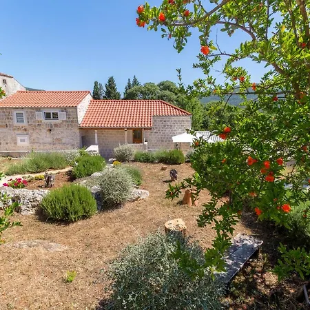 Olive Garden Apartamento Ston