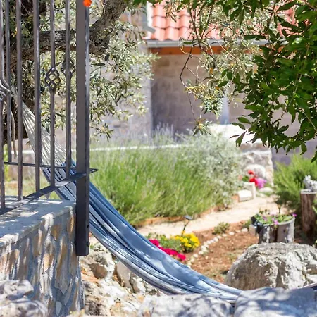 Apartamento Olive Garden *